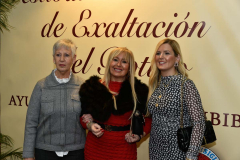 botillo-2026-1-20