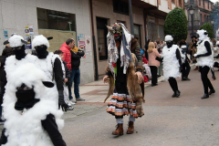 carnaval-2025-142
