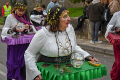 carnaval-bembibre-2025-008