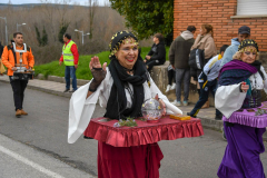 carnaval-bembibre-2025-010