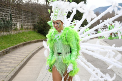 carnaval-bembibre-2025-043