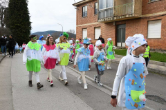 carnaval-bembibre-2025-085