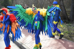 carnaval-bembibre-2026-03