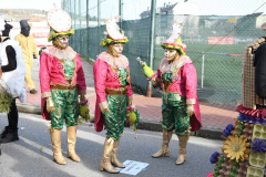 carnaval-bembibre-2026-09