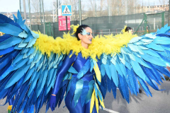carnaval-bembibre-2026-104