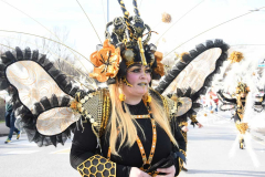 carnaval-bembibre-2026-27