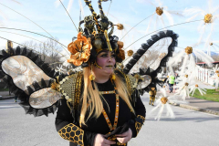 carnaval-bembibre-2026-28