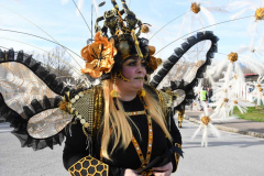 carnaval-bembibre-2026-29