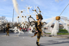 carnaval-bembibre-2026-30