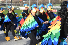 carnaval-bembibre-2026-56