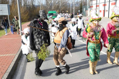 carnaval-bembibre-2026-79
