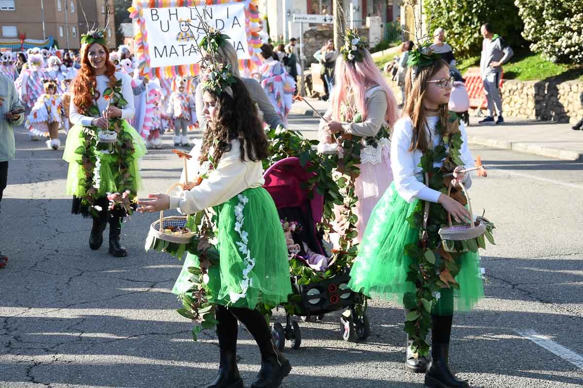carnaval-torre-2024-02