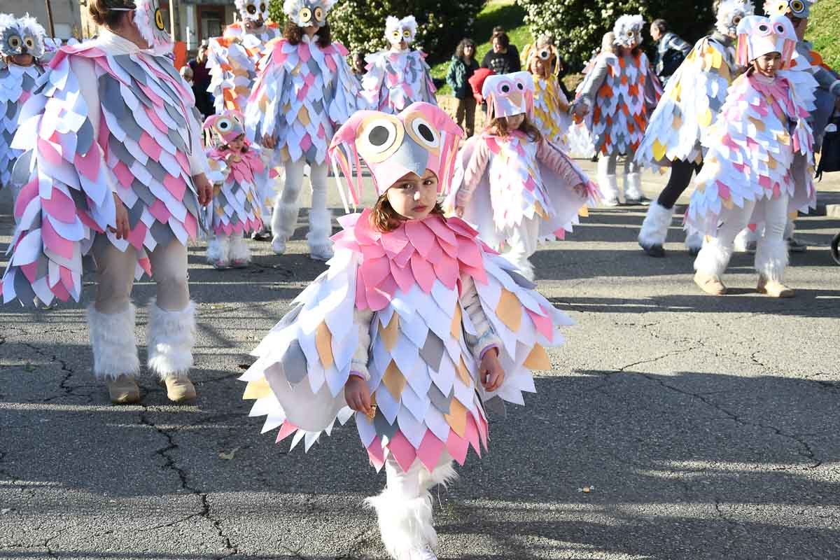 carnaval-torre-2024-05