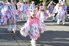 carnaval-torre-2024-05