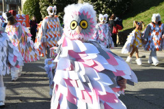 carnaval-torre-2024-06