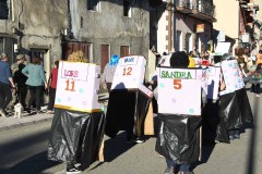 carnaval-torre-2024-104