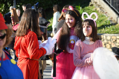 carnaval-torre-2024-17