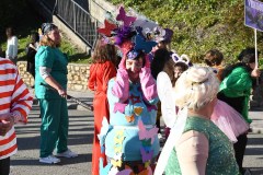 carnaval-torre-2024-22
