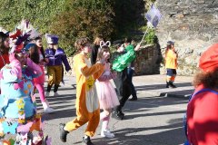 carnaval-torre-2024-23