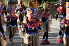 carnaval-torre-2024-28