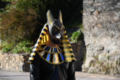 carnaval-torre-2024-37