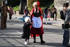 carnaval-torre-2024-49
