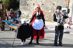 carnaval-torre-2024-51