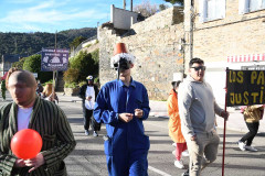 carnaval-torre-2024-56
