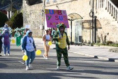 carnaval-torre-2024-61