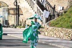 carnaval-torre-2024-66
