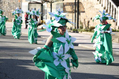 carnaval-torre-2024-67