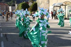 carnaval-torre-2024-69
