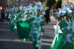 carnaval-torre-2024-71