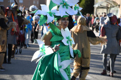 carnaval-torre-2024-72