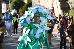 carnaval-torre-2024-73