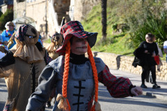 carnaval-torre-2024-76