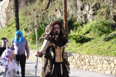 carnaval-torre-2024-90