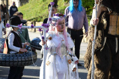 carnaval-torre-2024-91