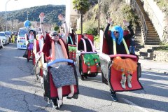 carnaval-torre-2024-96