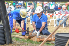 entibadores-2025-06