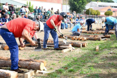 entibadores-2025-54