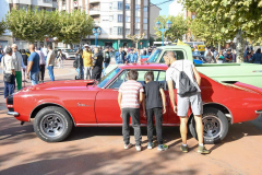 gastro-cruising-american-cars-2025-38