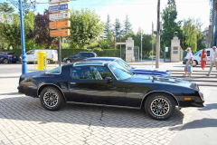 gastro-cruising-american-cars-2025-39
