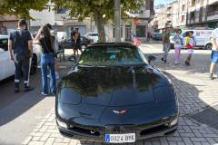 gastro-cruising-american-cars-2025-63