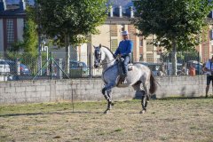 magia-caballo-bembibre-2026-04