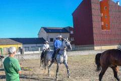 magia-caballo-bembibre-2026-07