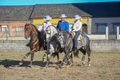 magia-caballo-bembibre-2026-08
