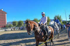magia-caballo-bembibre-2026-09