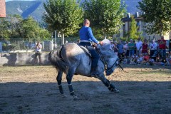 magia-caballo-bembibre-2026-10