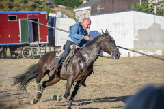 magia-caballo-bembibre-2026-13